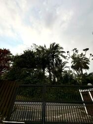 Cluny Park (D10), Detached #568064461
